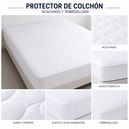 3 Protectores Termosellados $120.000